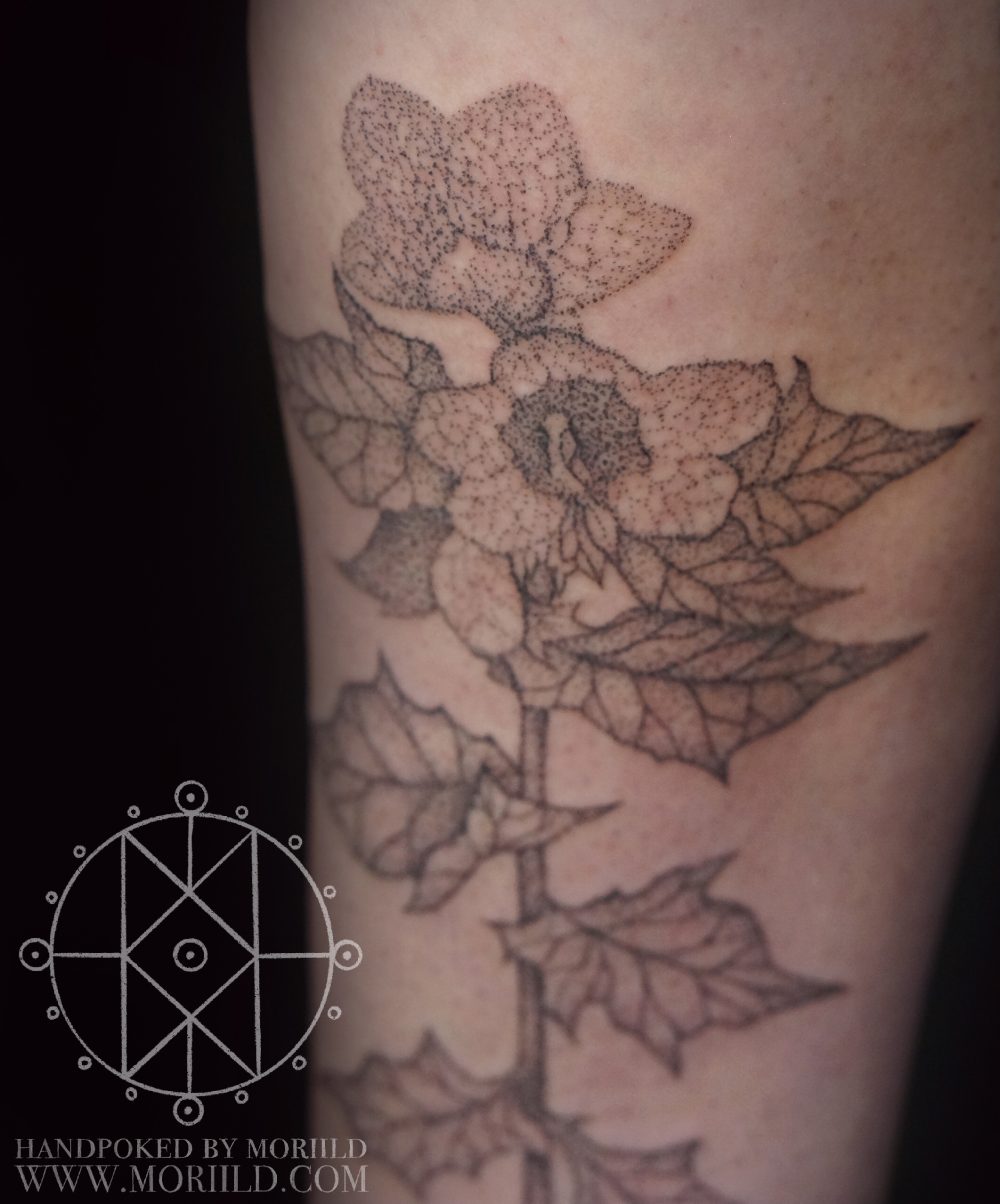 Tattoos by Moriild - All rights reserved